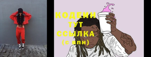 дмт Нея