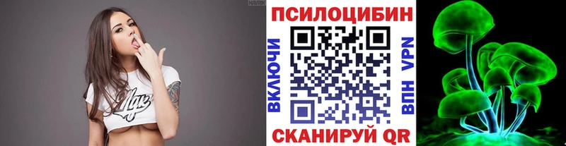 Псилоцибиновые грибы GOLDEN TEACHER  купить закладку  Россошь 